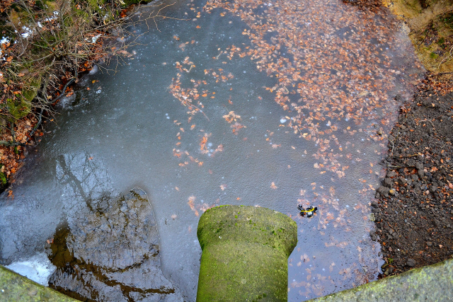 DSC_0232.jpg