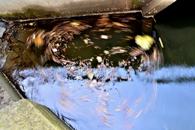 DSC_0357.jpg