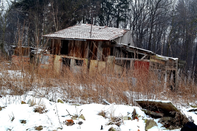 DSC_0007.jpg