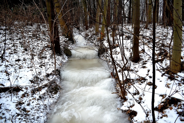 DSC_0020.jpg
