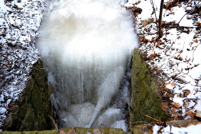 DSC_0021.jpg