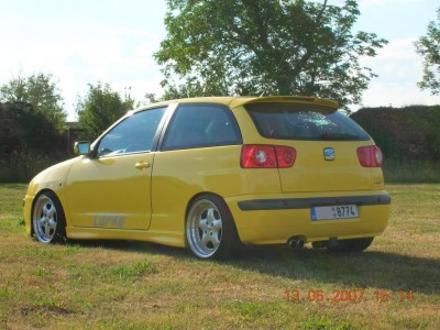 ibiza čirá na autě cupra.jpg