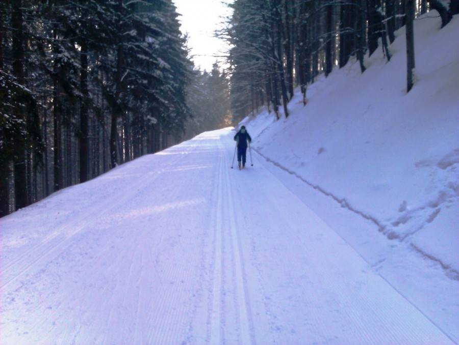 IMAG0030.jpg