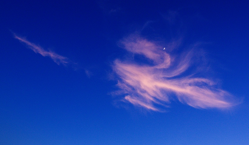 IMG_5568.jpg