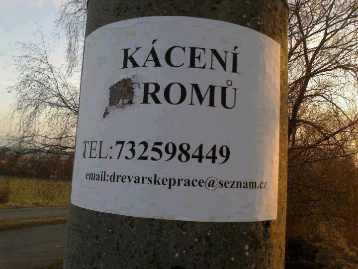 kácení.jpg