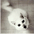 1232.gif