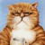 1427.gif
