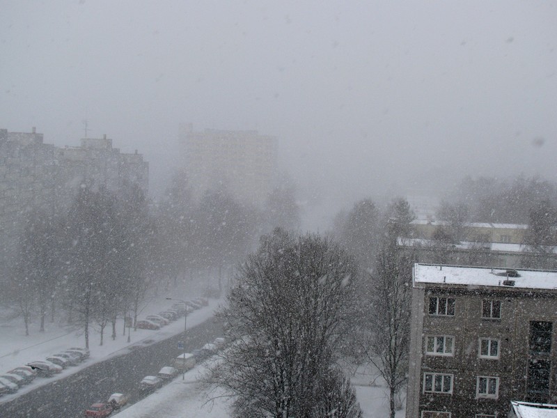 2010_03_ 117.jpg