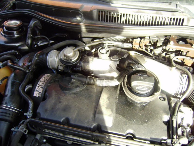PB130073.jpg